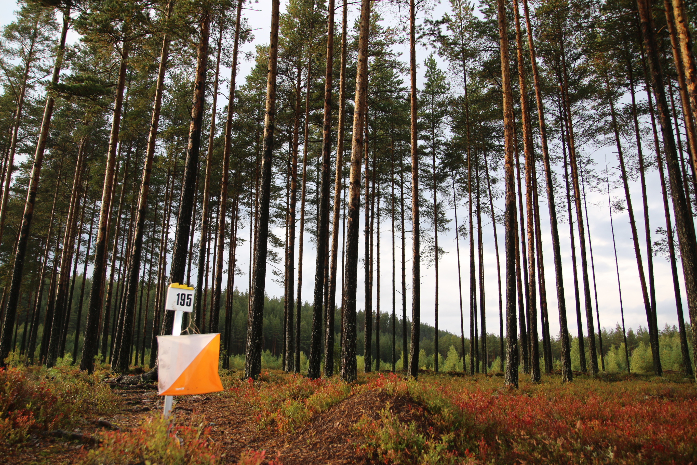 Downhill-trening på Hensmoen torsdag klokka 18.00