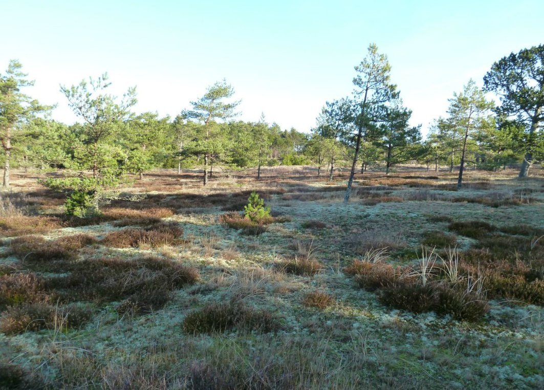 Siste påmelding til Nord-Jysk