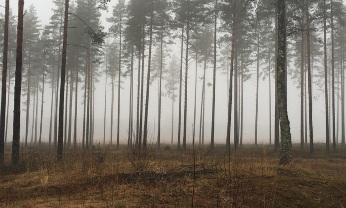 Høringsuttalelse om E16 over Eggemoen