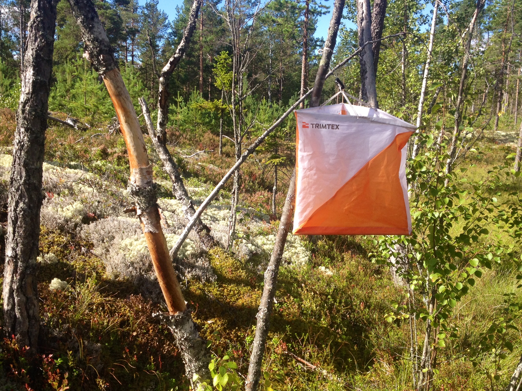 Første høsttrening 13. august