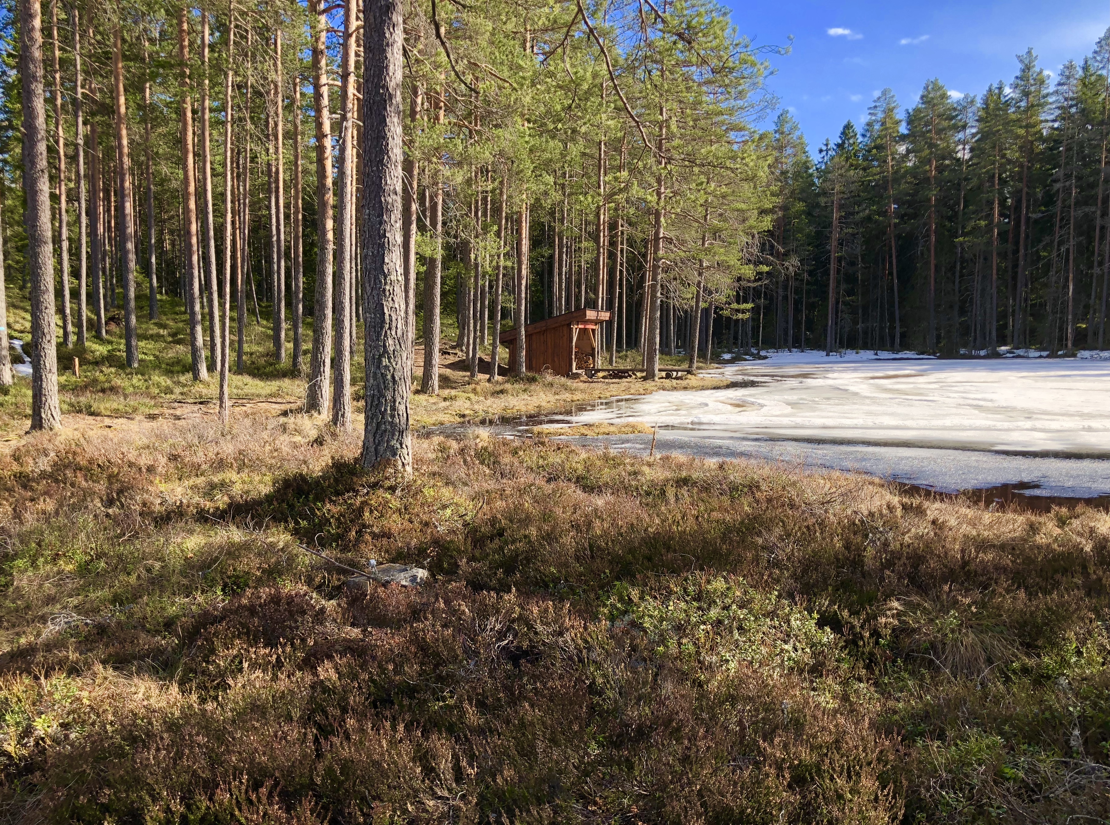 Mai-løypa på Kihlemoen-Oppenåsen klar