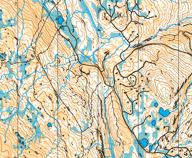 Ringerudseter/Vikerfjell, o-kart fra laserdata og fkb-data