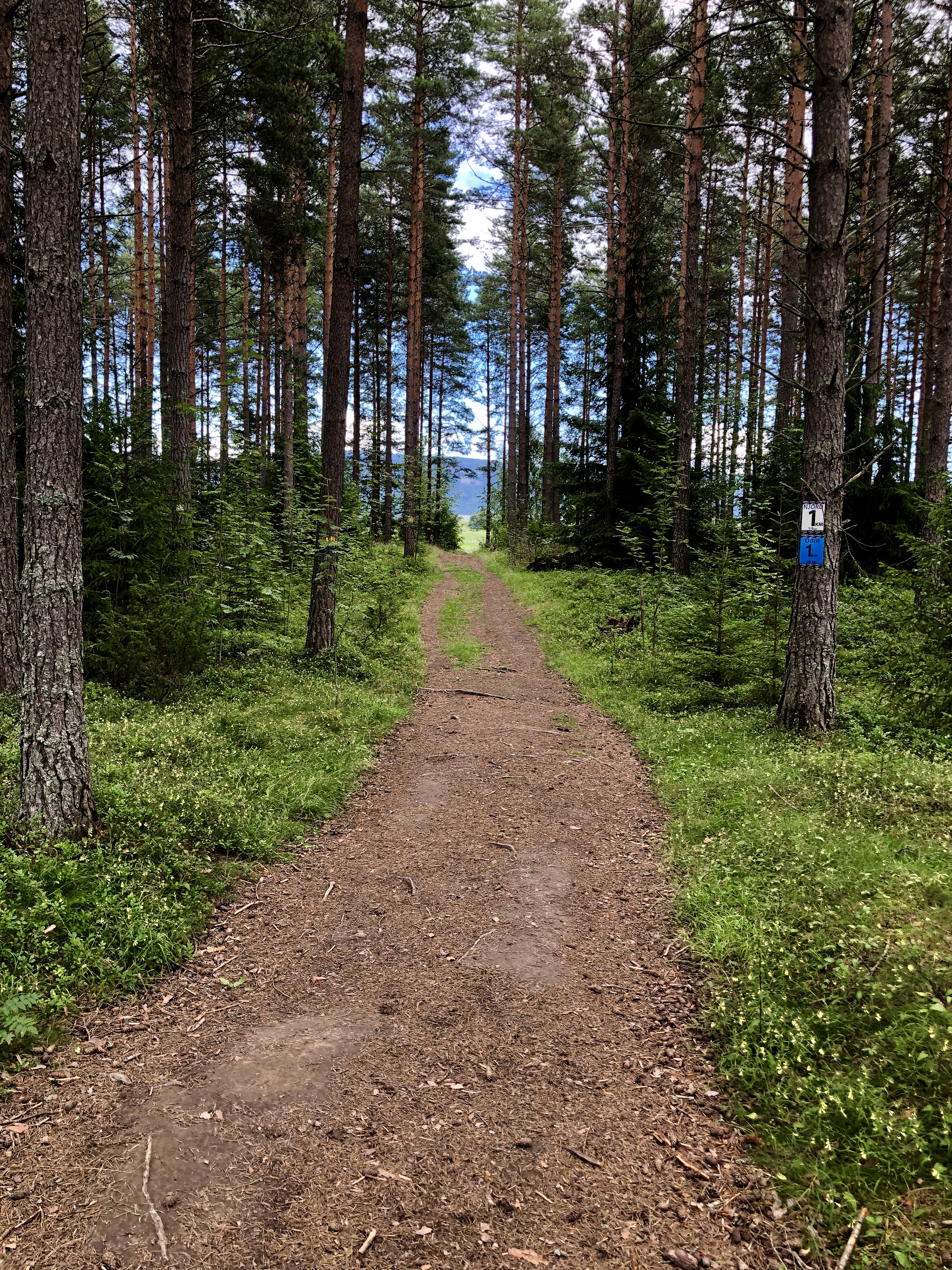 Velkommen til o-løp på Eggemoen