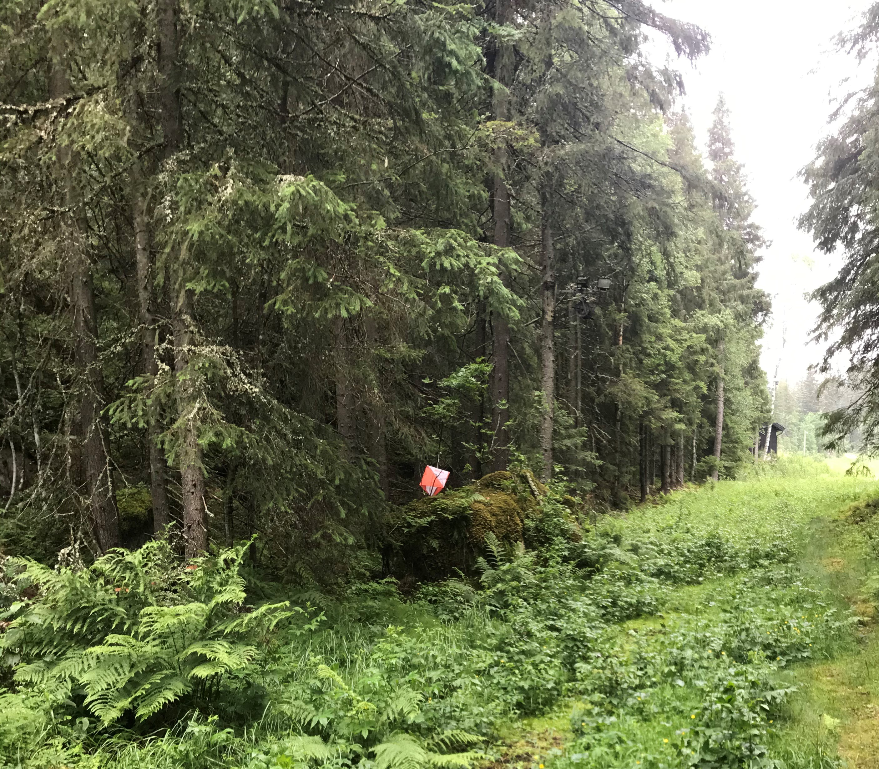 Juliløype fra Kleivstua