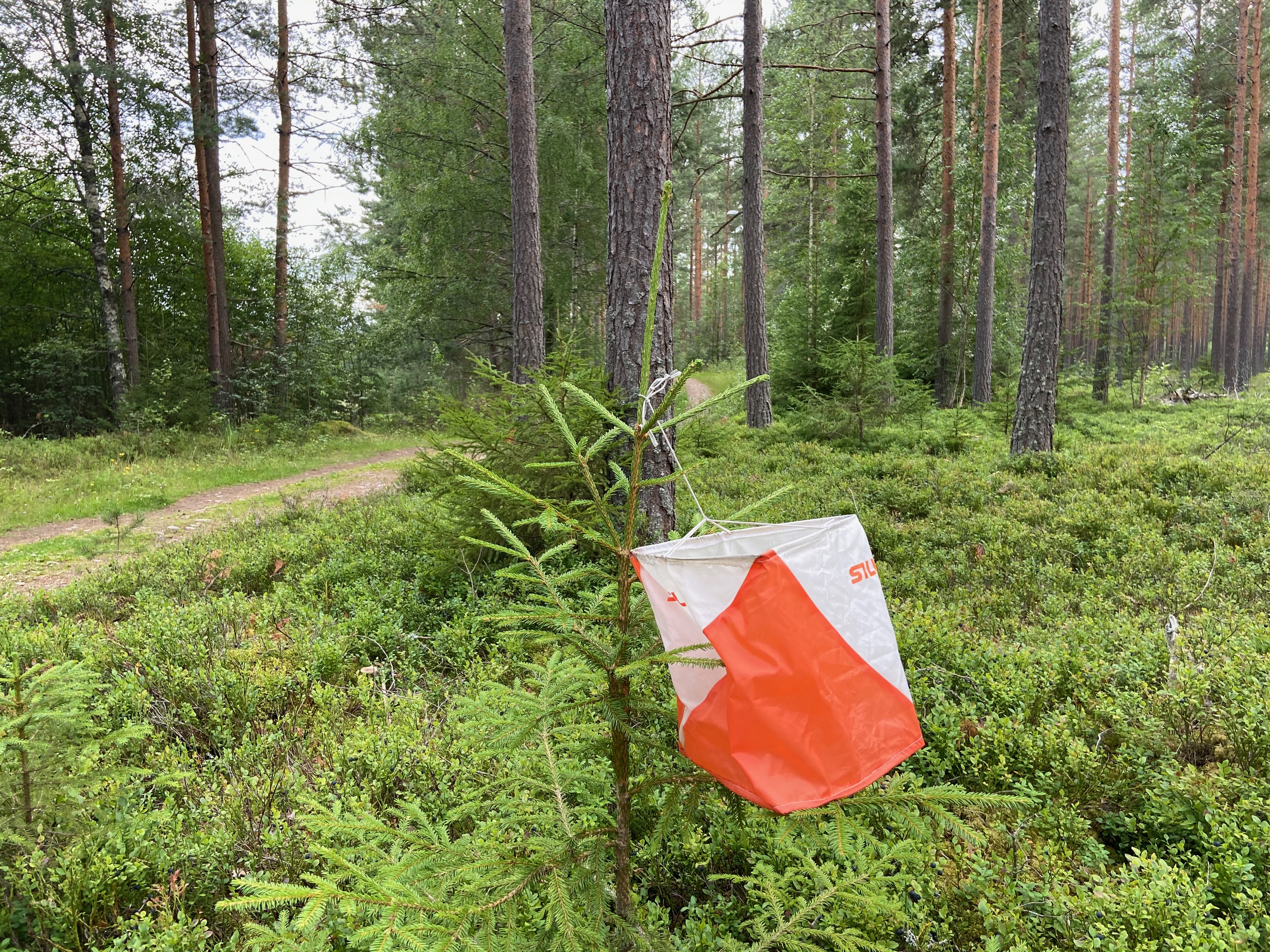 Nybegynnertreninger våren 2021