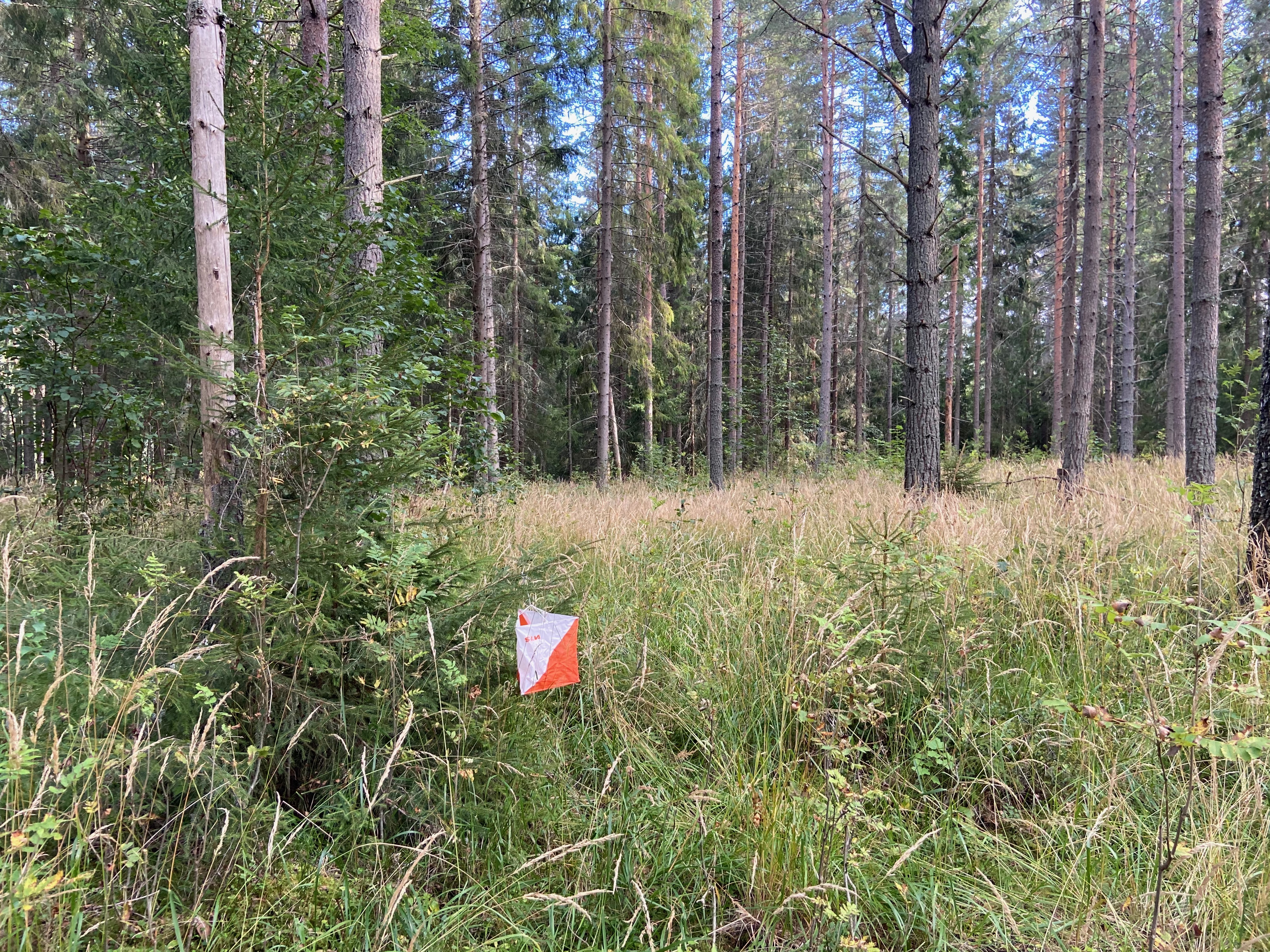 Månedens løype september