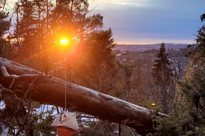 O-trening 15. mars, Kalkverket/Gullerudmarka