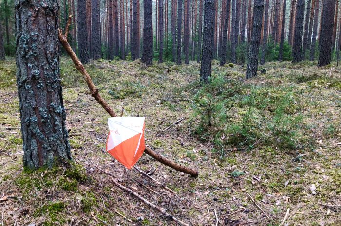 Treningsløype på Eggemoen