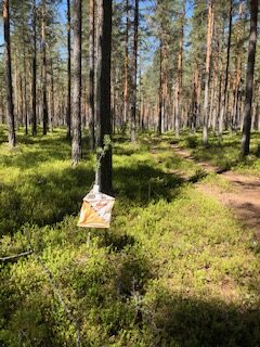 Fellesstart og kveldsmat på siste Nattugla