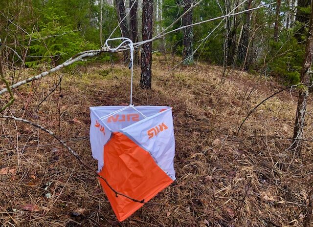 Novemberløype på Leinåsen