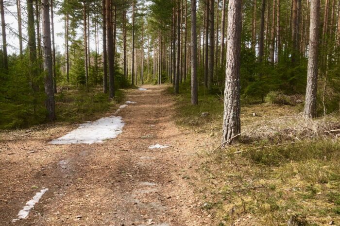 Påskeløype, aktivitetskalender , sesongstart og Østfoldtur